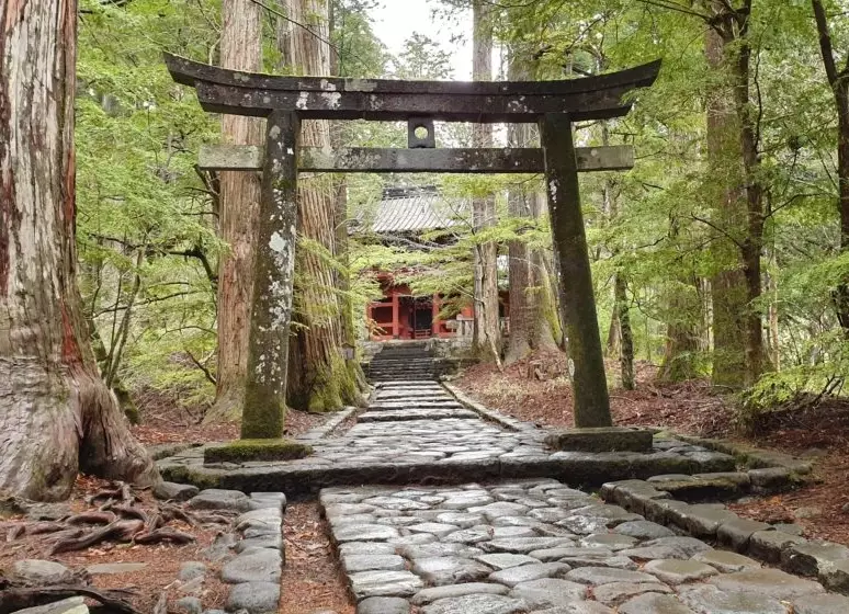 Japan travel checklist Japan travel checklist