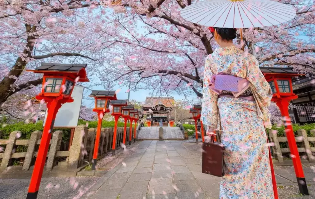 hanami season dates hanami season dates