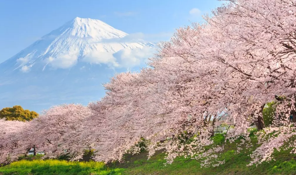 best time to book flights to Japan