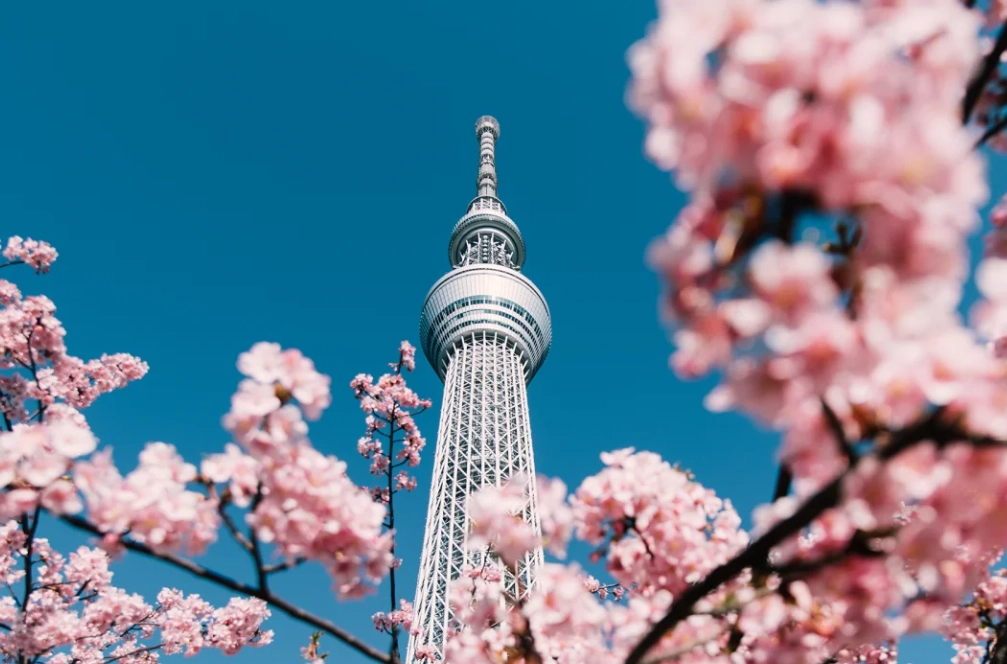 cheapest flights to Japan from NYC