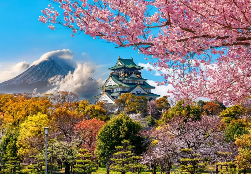 Is 10 Days Enough for Japan? A Realistic Itinerary & Tips