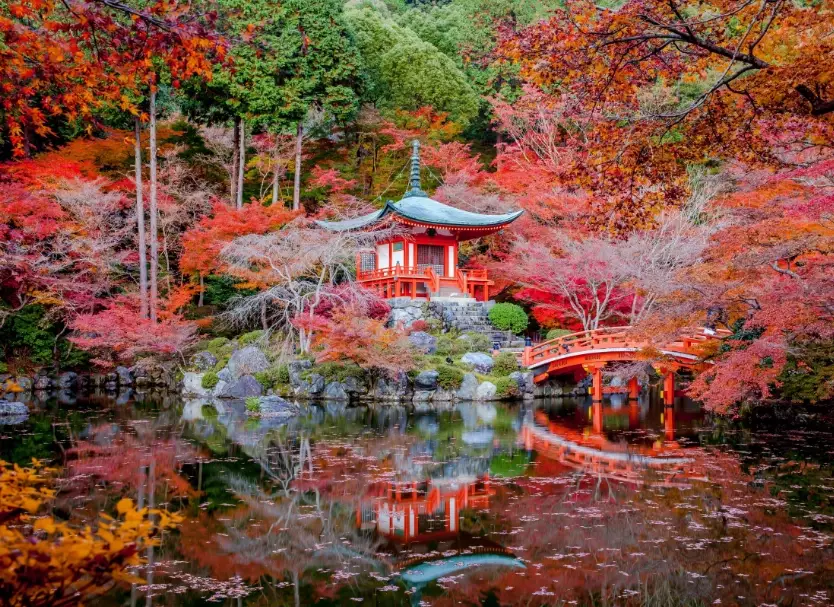 best time to see cherry blossoms in Japan
