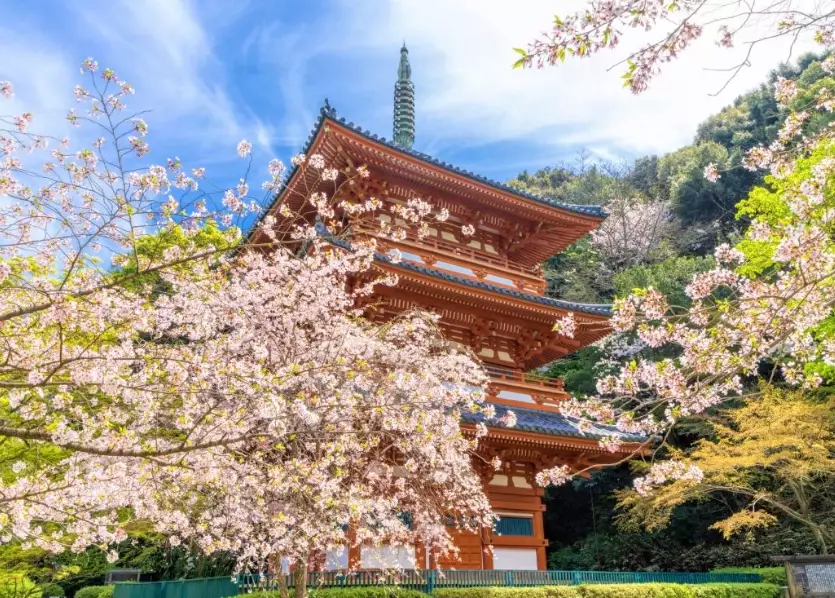 things to do in Fukuoka