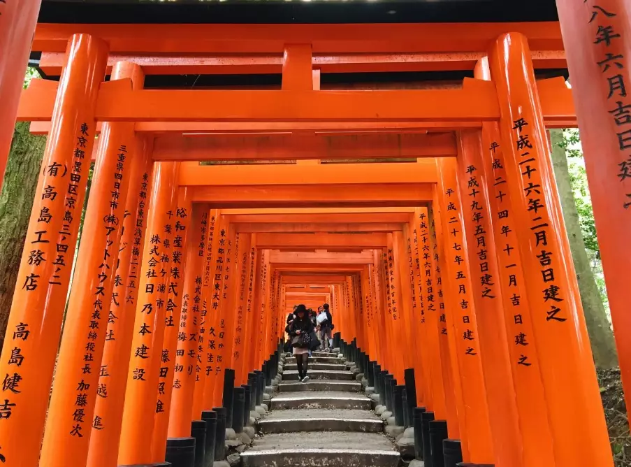 two weeks in Japan two weeks in Japan