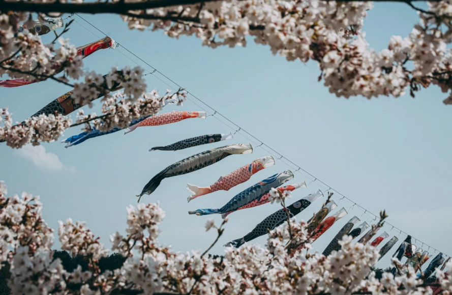 Japan travel planning Japan travel planning