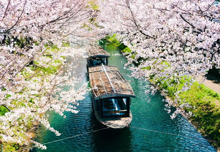 Japan trip cost