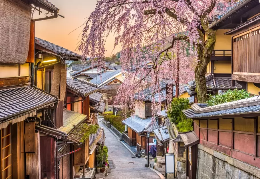 best things to do in kyoto