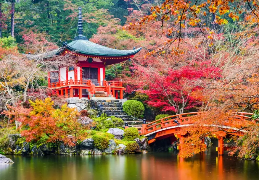 kyoto travel guide