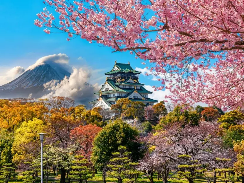 Japan Trip Cost: A Realistic Budget Breakdown for Any Traveler