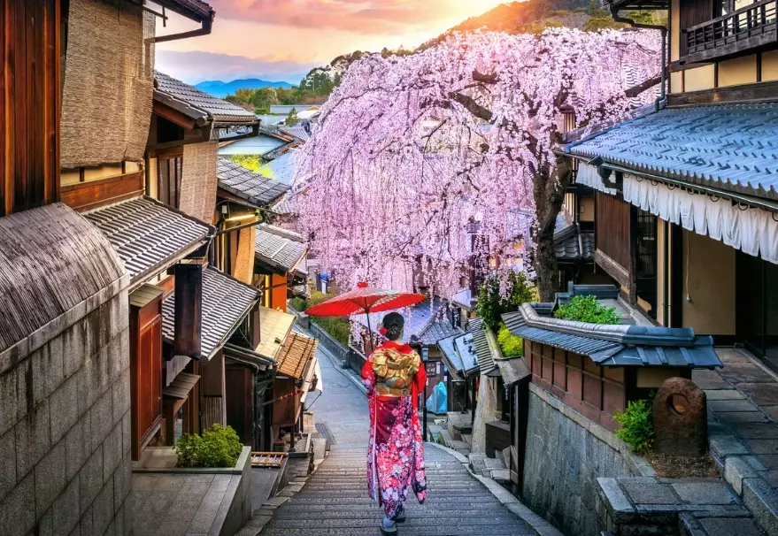 Kyoto Japan Travel Guide: Insider Tips for Temples, Food & Itineraries