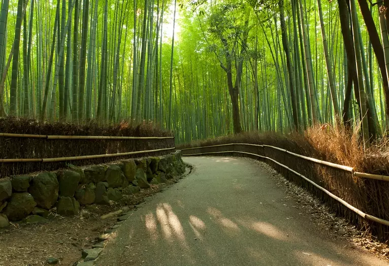 Kyoto top attractions