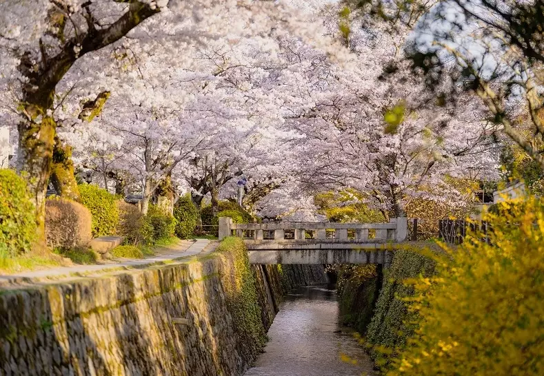 Kyoto top attractions