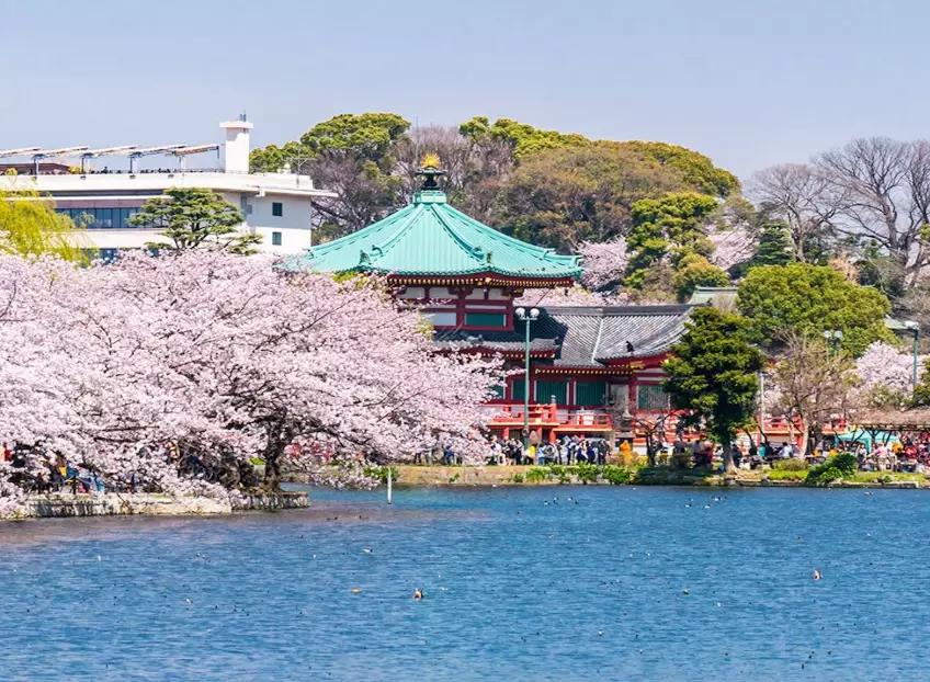 Tokyo tourist attractions