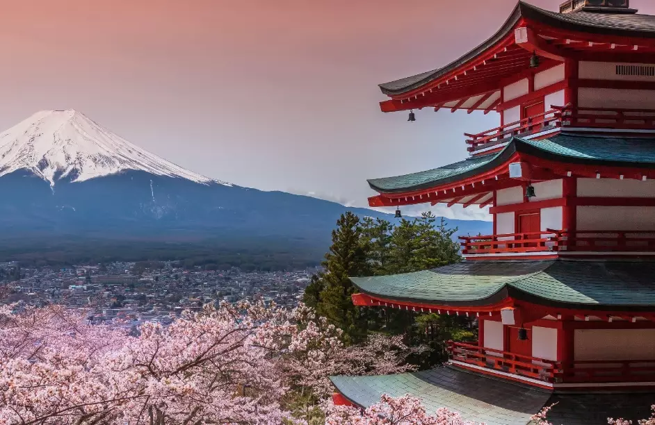 7 day Japan trip cost