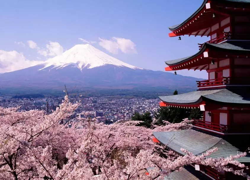 cost of Japan trip